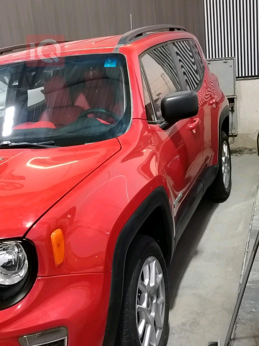 جيب رينيجيد